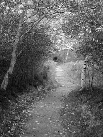 Endless Wonder Black & White - NHP163b Endless Wonder Black & White - NHP163b